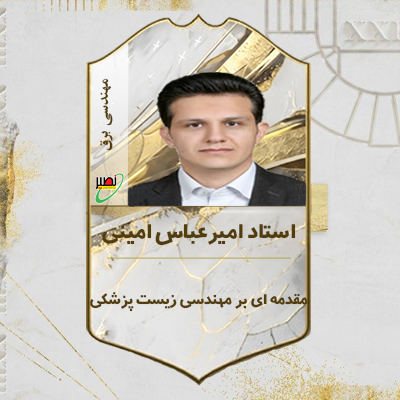 امیرعباس امینی