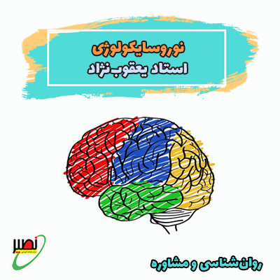دوره آموزش جامع نوروسایکولوژی ویژه آمادگی کنکور 1406