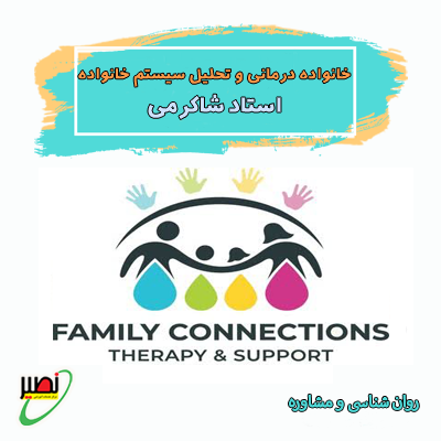 دوره جامع خانواده درمانی و تحلیل سیستم خانواده