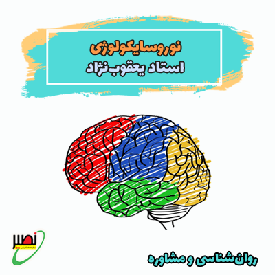 نکته و تست نوروسایکولوژی (آنلاین) کنکور 1404